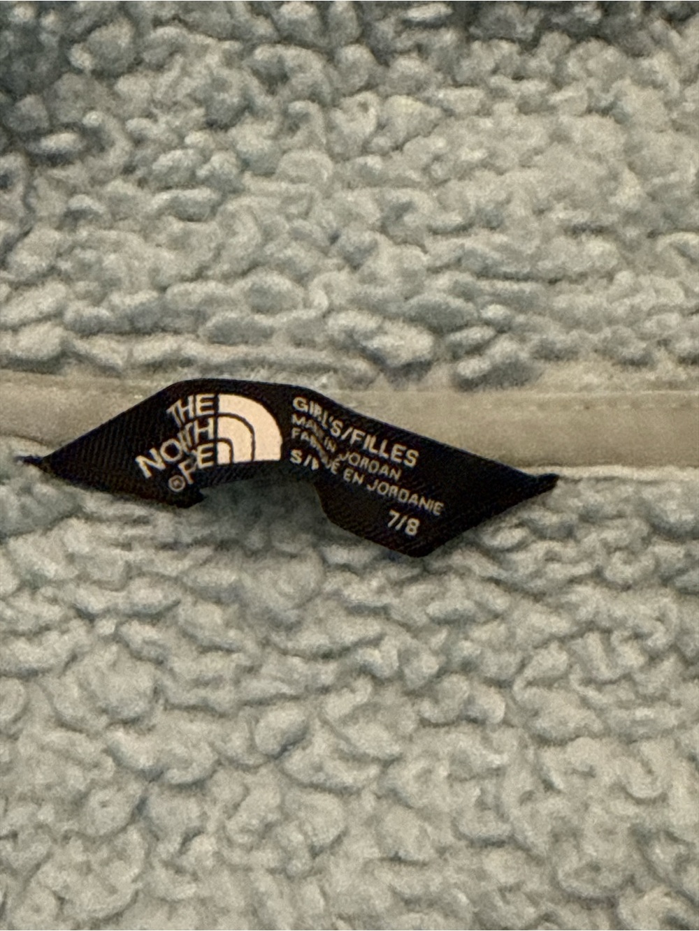 The North Face Kids Light Blue Sherpa Hoodie Jacket - Picture 3 of 4